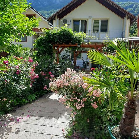 伯伊莱海尔库拉内 伊甸园旅馆酒店 外观 照片