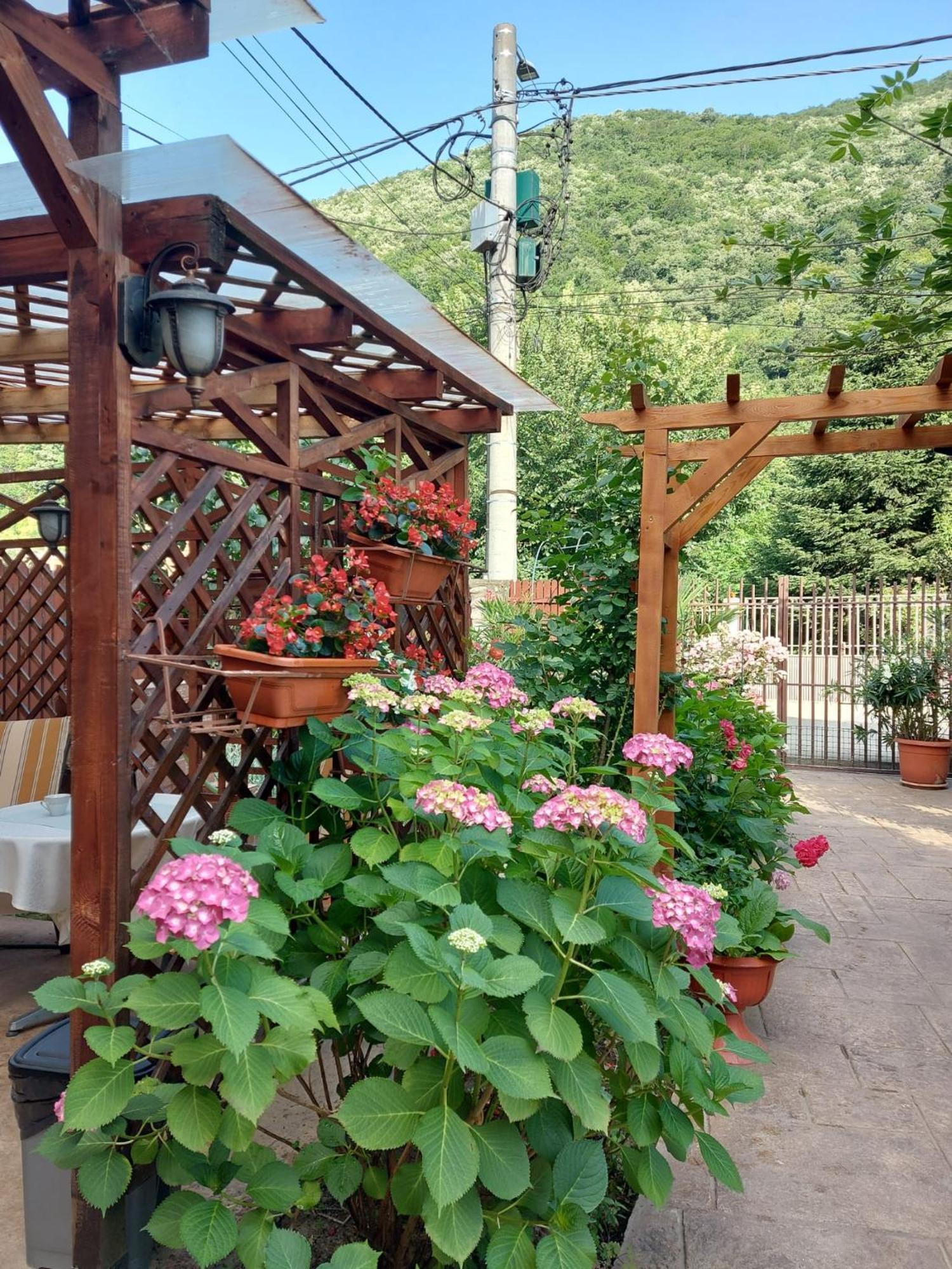 伯伊莱海尔库拉内 伊甸园旅馆酒店 外观 照片
